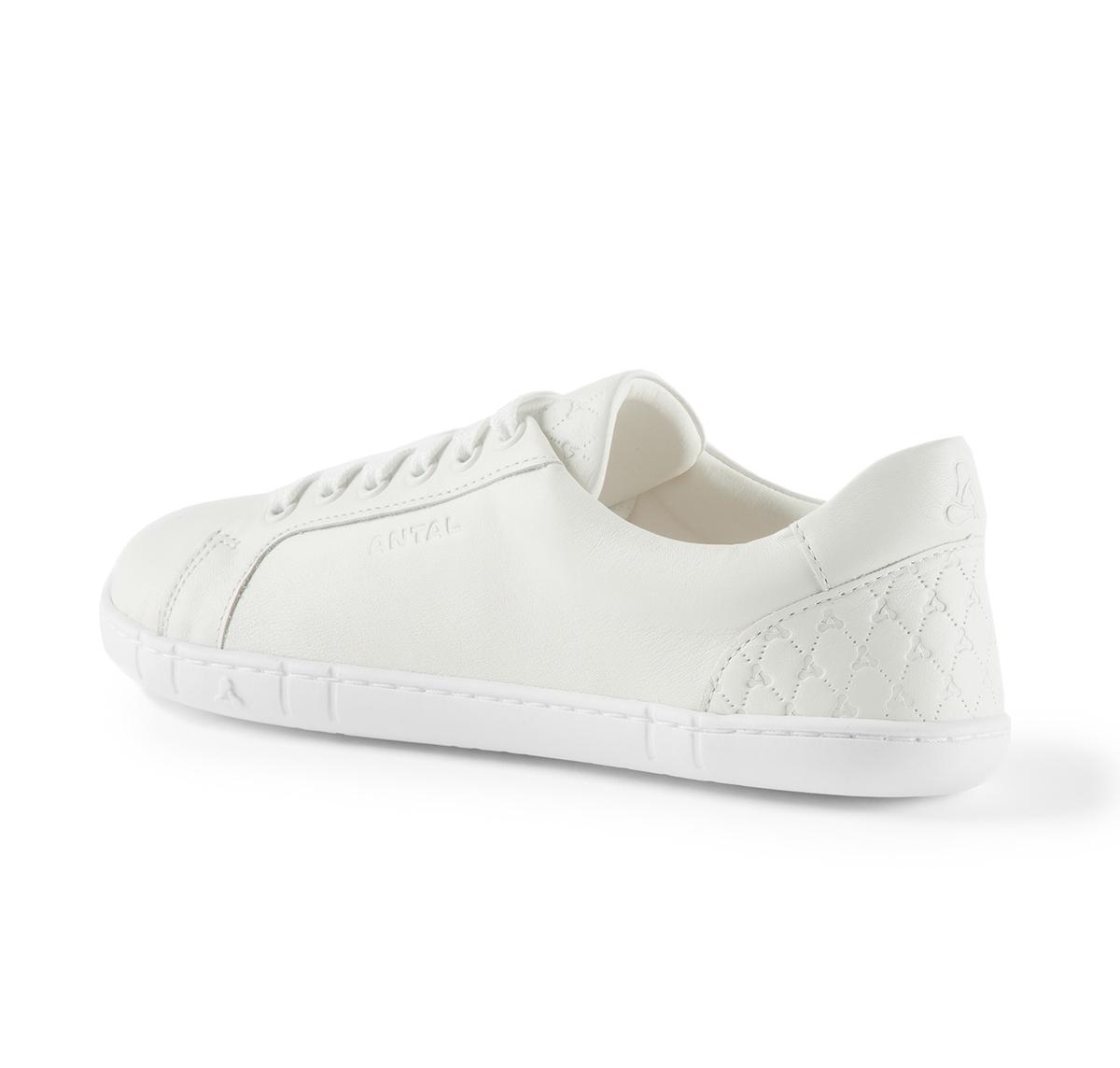 Antal Amada Antique white – kuva 6