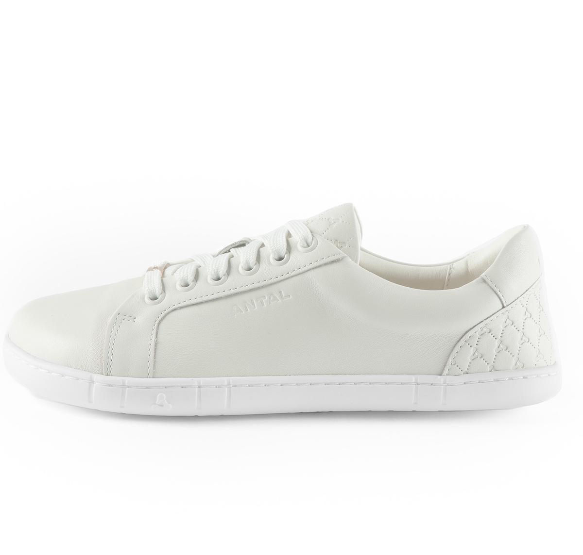 Antal Amada Antique white – kuva 2