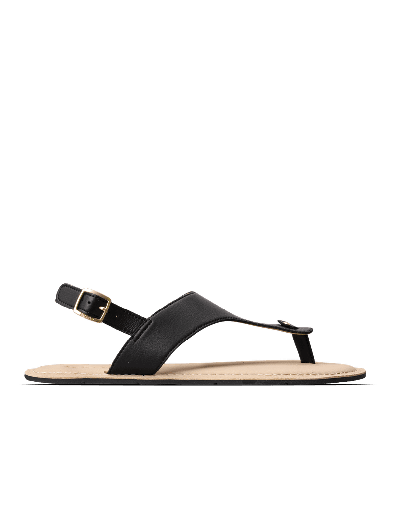 Promenade 2.0 - Black