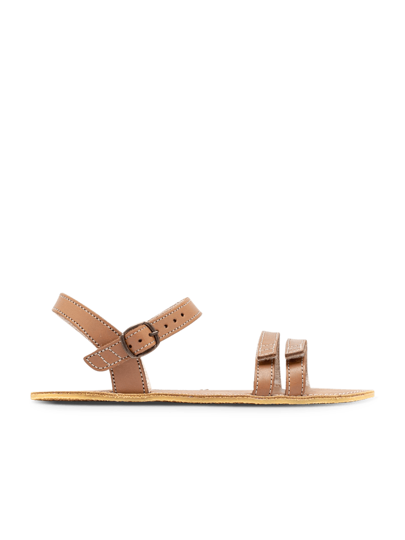 Summer - Brown