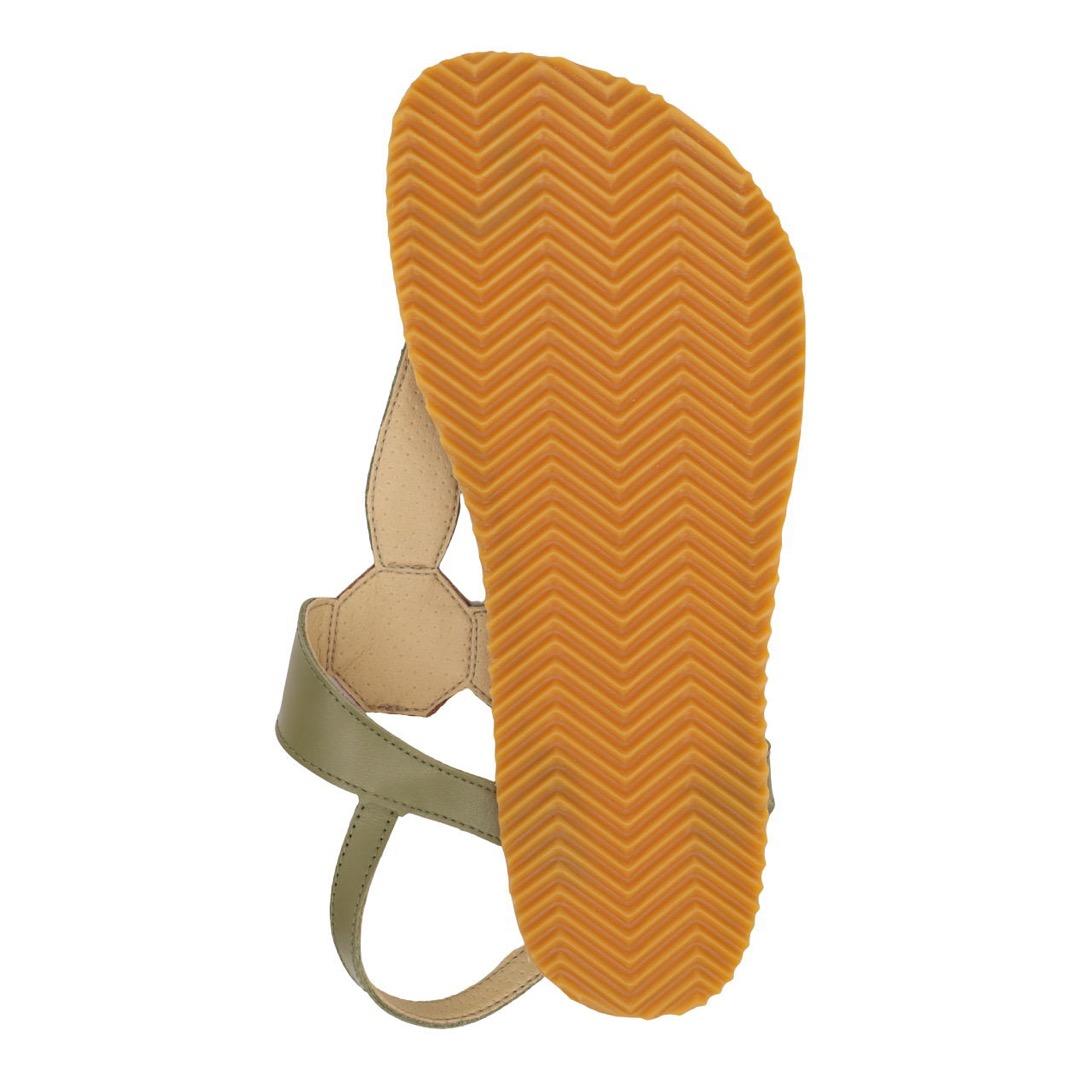 Antal Marisol Olive – kuva 2
