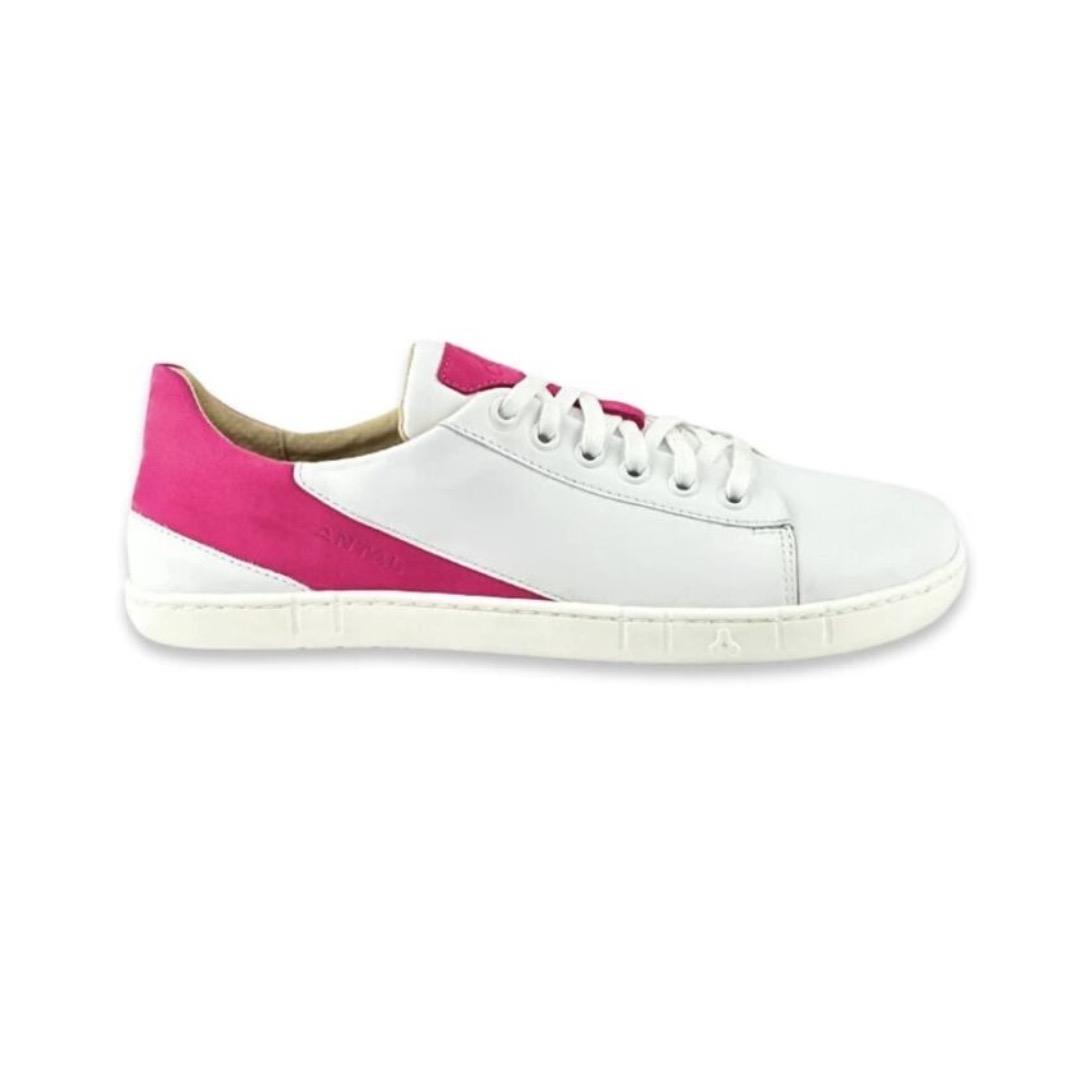 Antal Magnifique Fuchsia – kuva 2