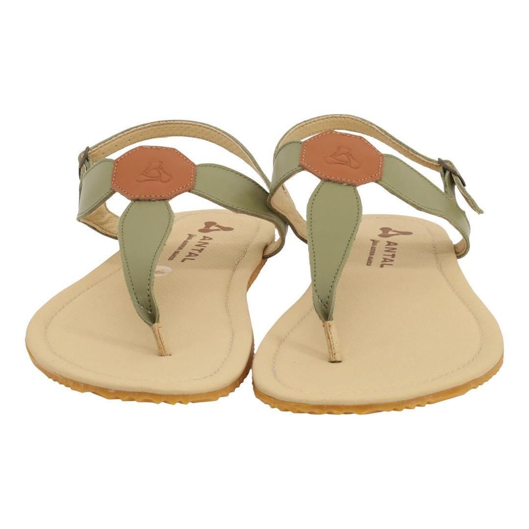 Antal Marisol Olive – kuva 3