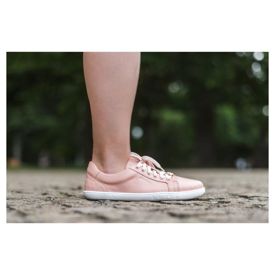 Antal Amada Peach – kuva 5